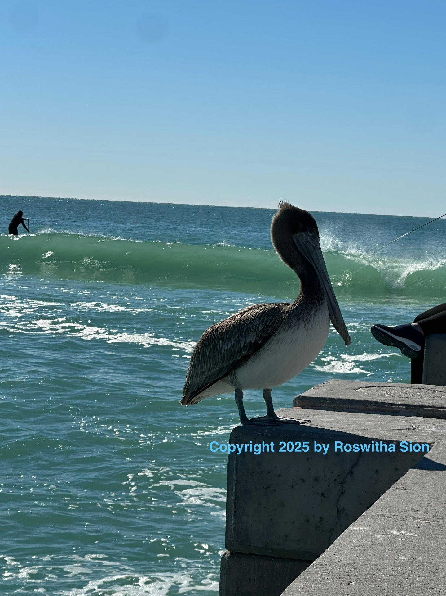 Roswitha Sion am Anna Maria Island Beach Cafe in Florida
