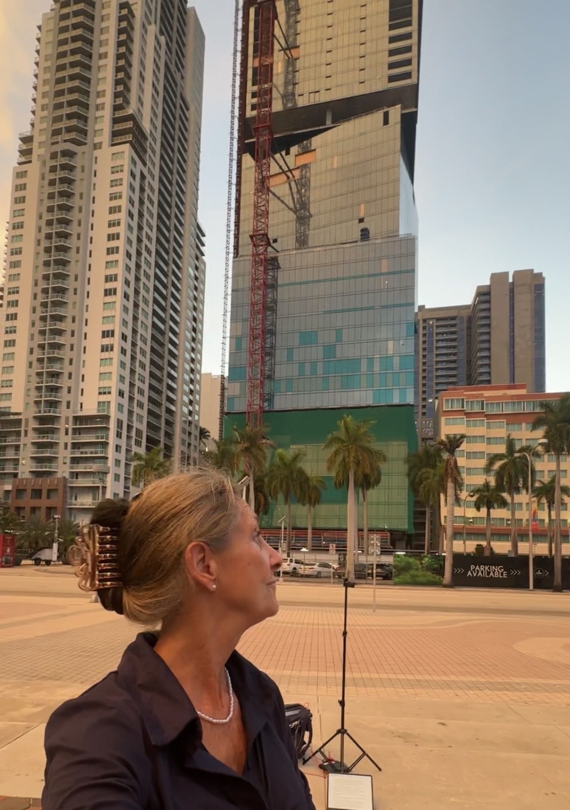 Roswitha Sion in Miami, Florida — Skyline und Palmen
